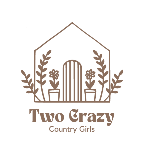 Two Crazy Country Girls